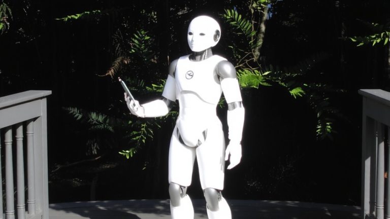 best remote controlled robot
