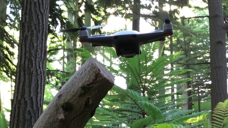 flexible arms for tree strikes